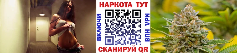 Где купить наркотики Выборг ссылка на мегу рабочий сайт  Мефедрон  Амфетамин  Канабис  Вейп ТГК  Гашиш  А ПВП 