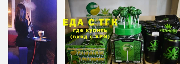 гашик Пестово