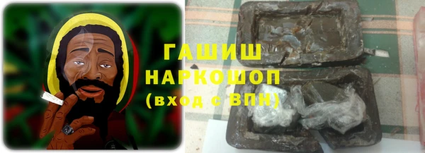 гашик Пестово