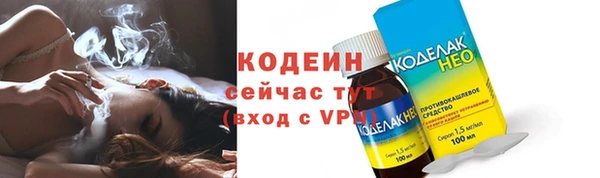 гашик Пестово