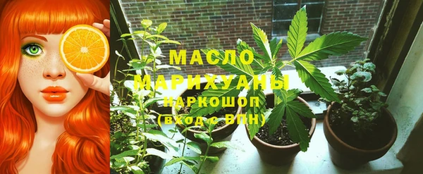 гашик Пестово