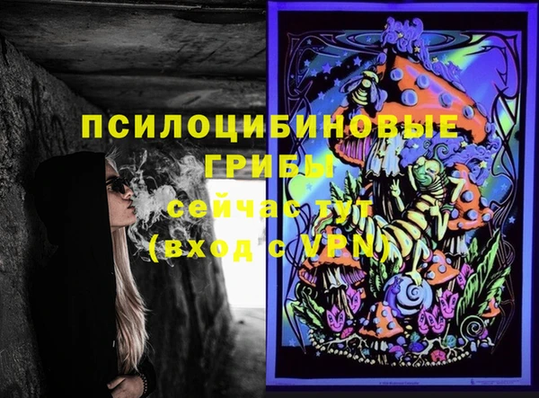 гашик Пестово