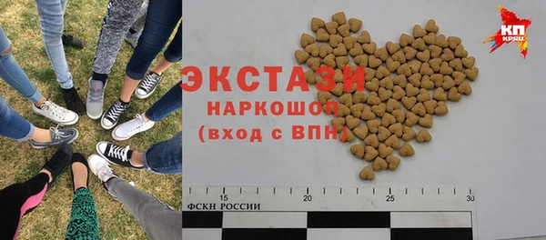 гашик Пестово