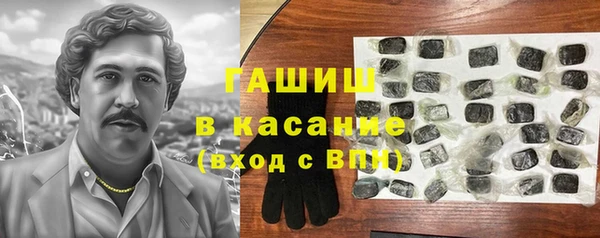 гашик Пестово