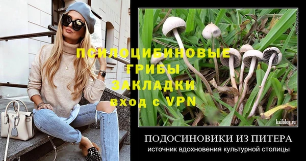 гашик Пестово