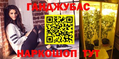ешки Бийск