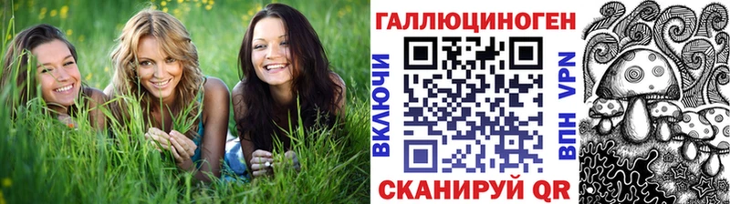 наркотики  сайты даркнета как зайти  Галлюциногенные грибы Psilocybe  Выборг 