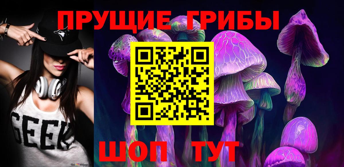 где продают наркотики  Вход с VPN  Выборг  Псилоцибиновые грибы ЛСД 