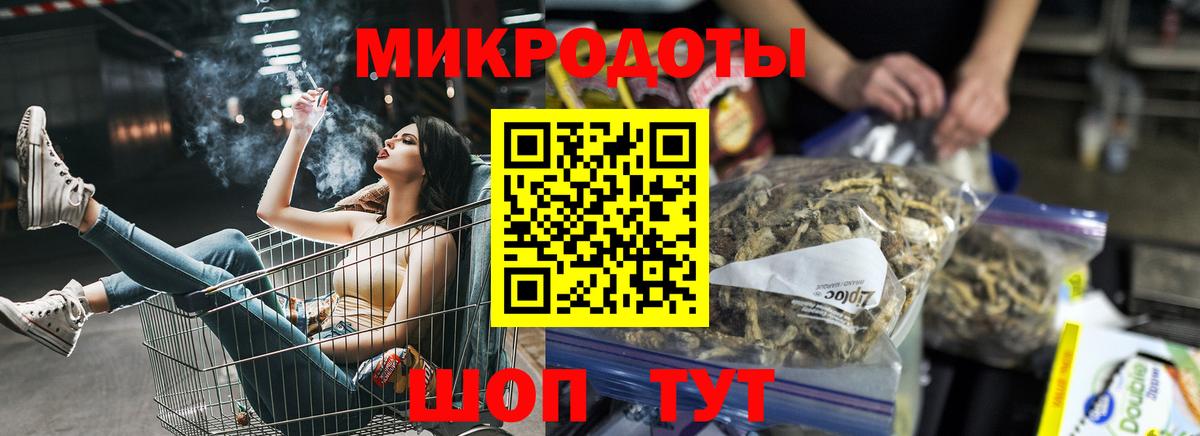 Псилоцибиновые грибы Psilocybine cubensis Выборг