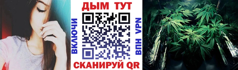 Канабис VHQ Выборг